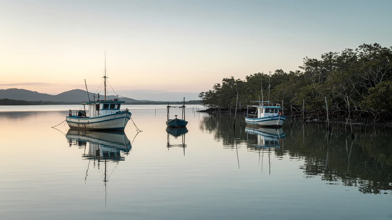 Fishing boats in a calm Queensland harbour at dawn.
