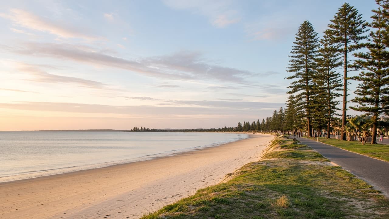 Calm Hervey Bay beach with Norfolk pines and pale aqua water.