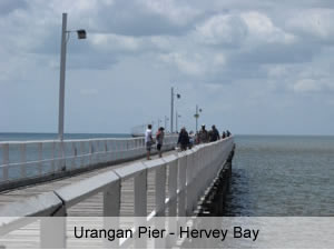 Fraser Coast Attractions – Action, Adventure, Heritage, Fun!